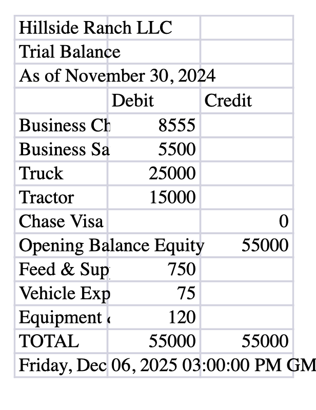Trial Balance